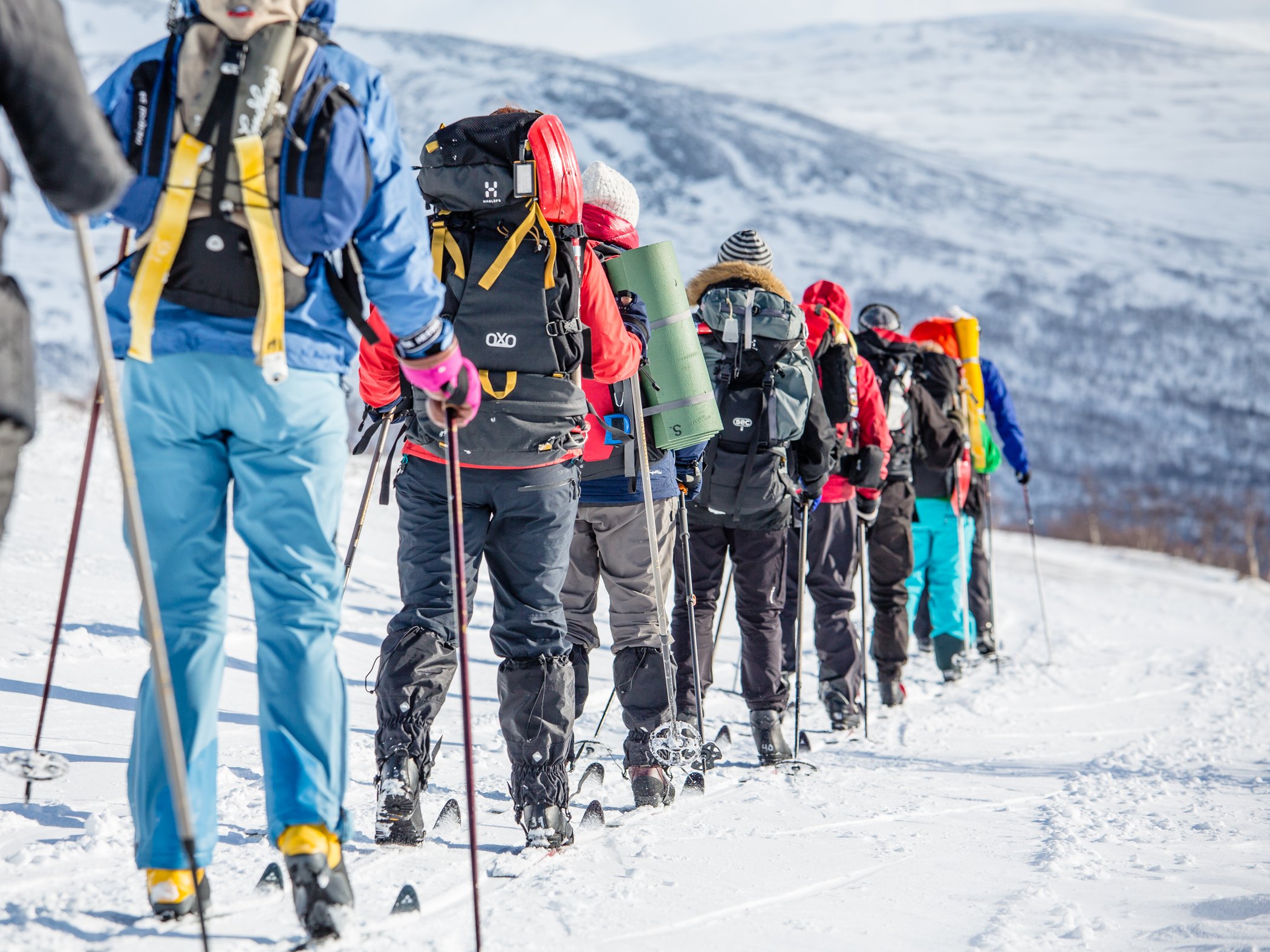 En grupp turskidåkare skidar iväg på led.