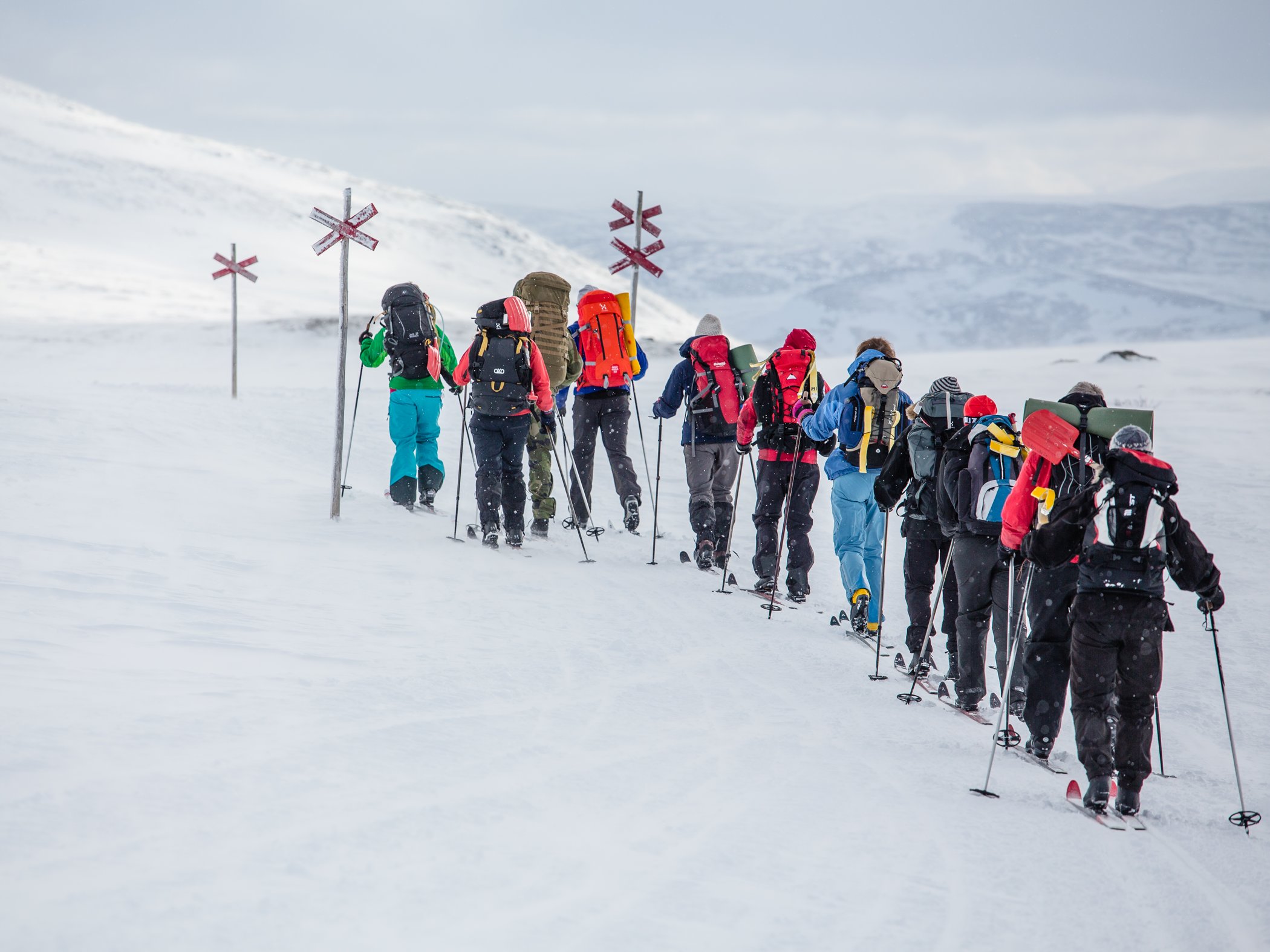 Grupp på turskidor följer vinterled med ledkryss i snötäckt fjällandskap.