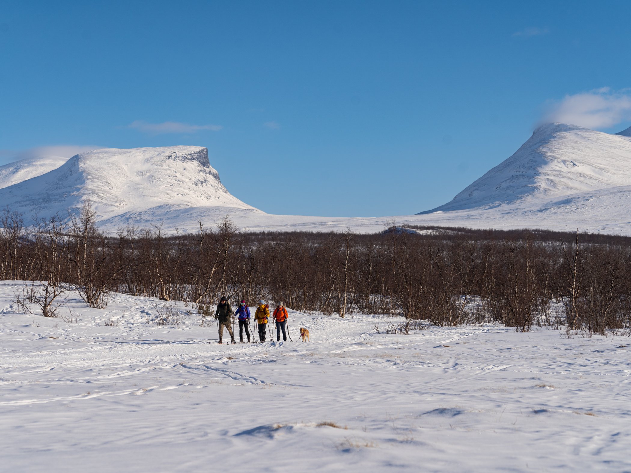 Grupp på vintertur genom snötäckt landskap med berg och fjäll i bakgrunden.
