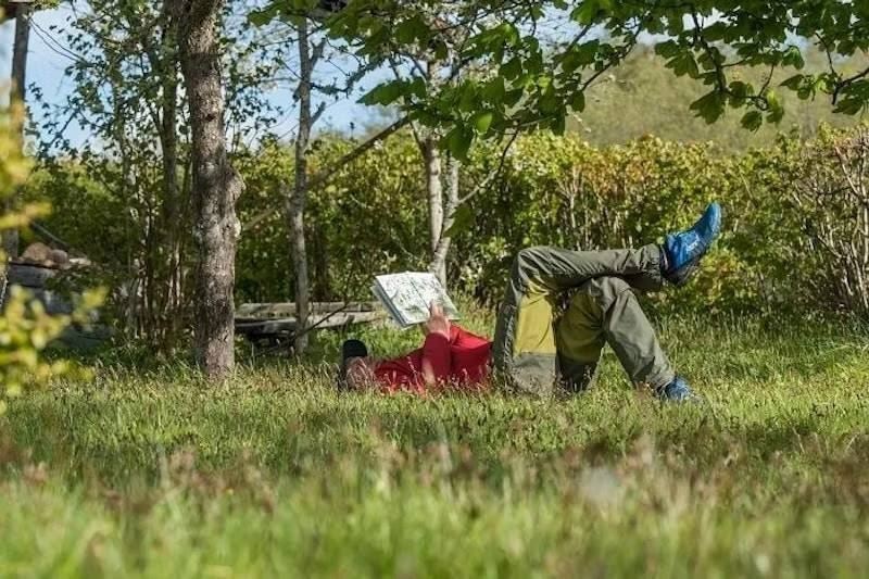 Person ligger i gräset under träd och studerar en karta i en lugn naturmiljö.