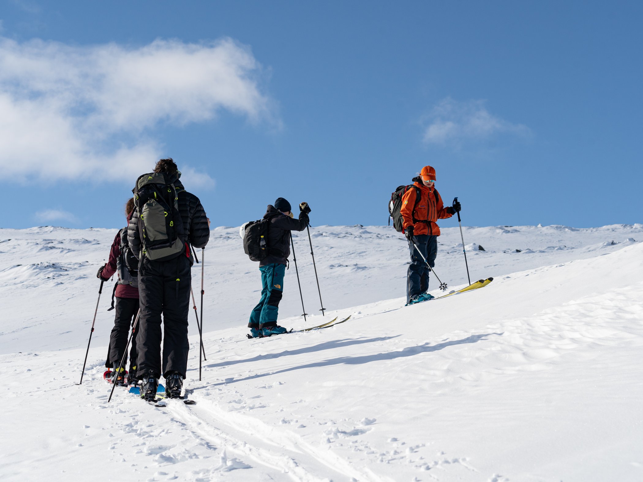 En grupp med turskidåkare med en guide i orange jacka som går uppför fjället en solig dag. 