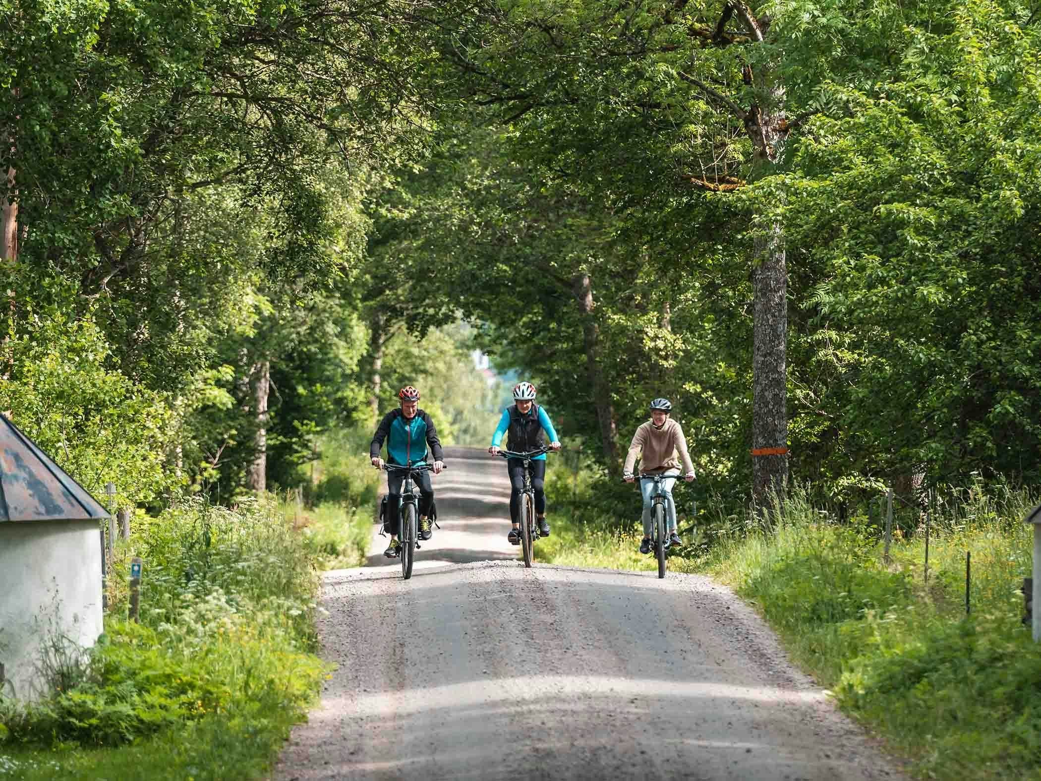 Tre personer cyklar på en grusväg genom ett grönskande landskap med lummiga träd på båda sidor.