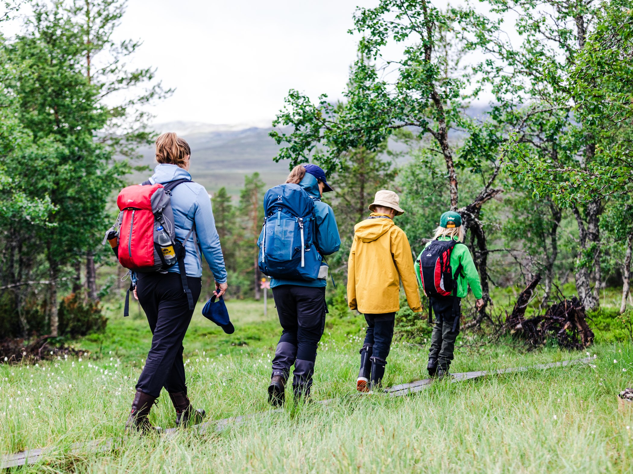 Familj som vandrar på led genom fjällskog nära Grövelsjön.