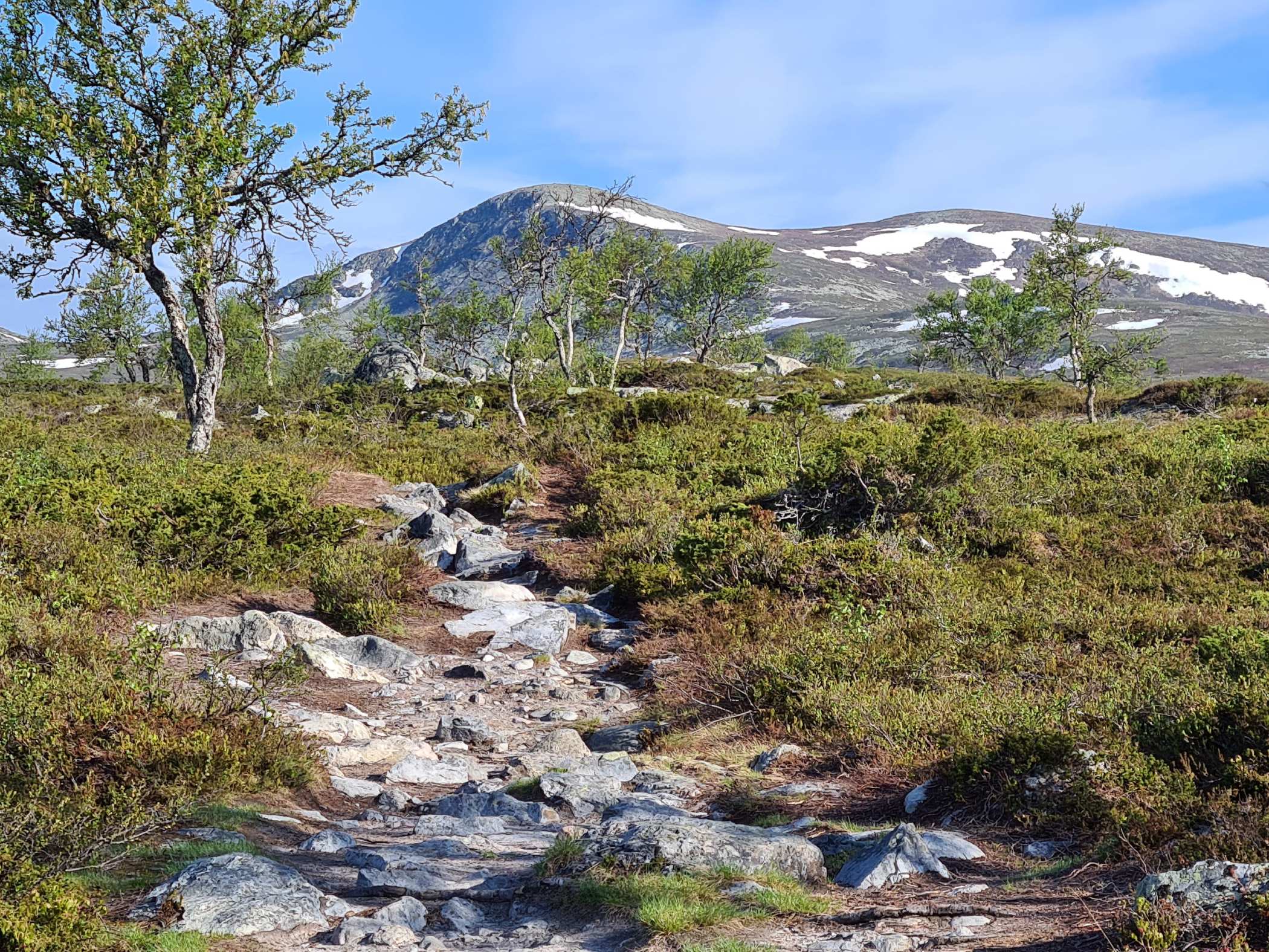 Stenig fjällstig med utsikt över fjäll nära Grövelsjön.