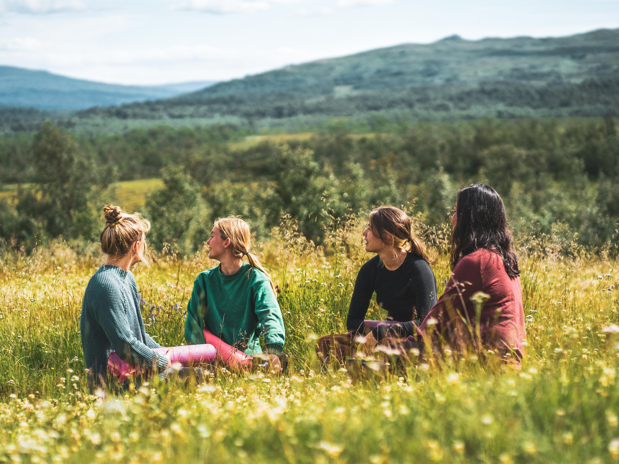 Fyra personer sitter i gräset och njuter av utsikten över fjällen.