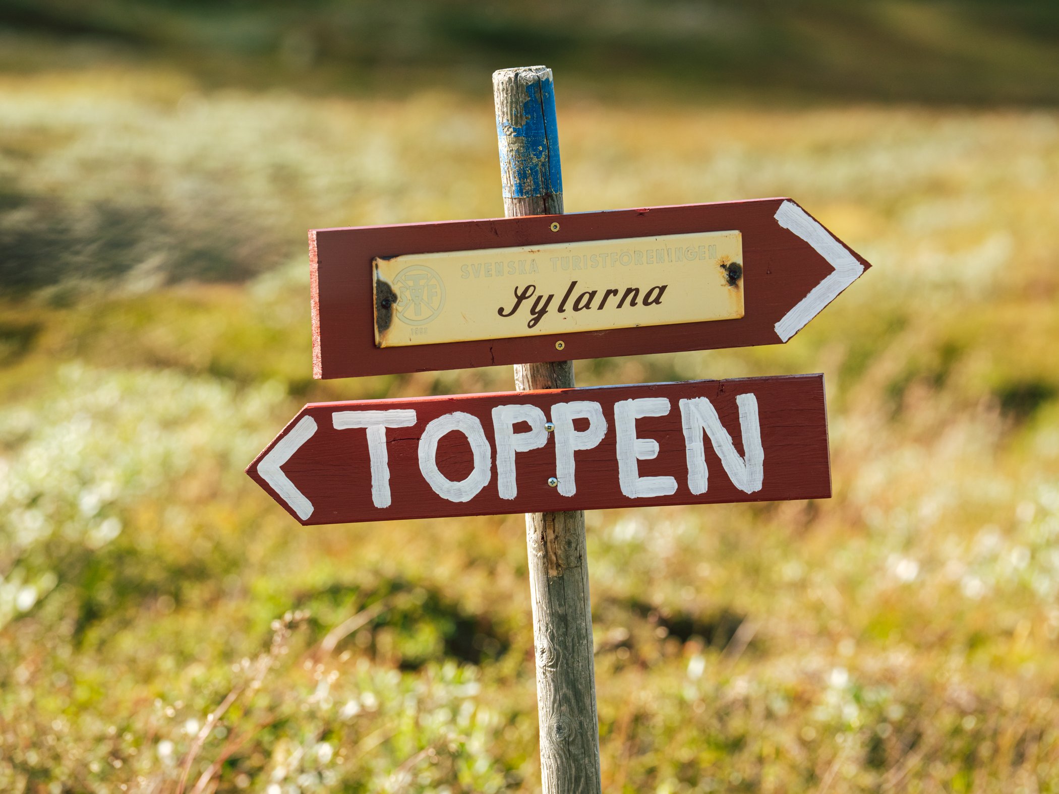 Vägvisare mot toppen och Sylarna i fjällmiljö vid STF Helags fjällstation.