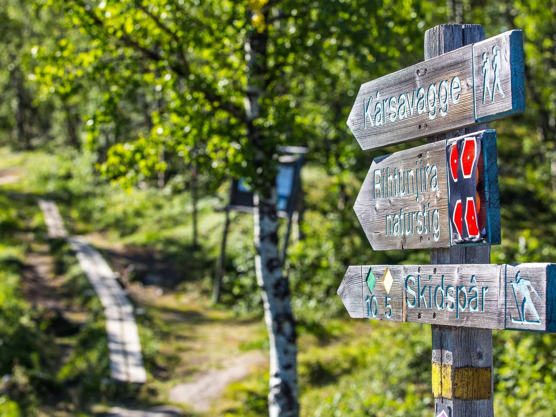 Vägvisare för vandrings- och skidleder vid en stig genom grönskande skogslandskap.