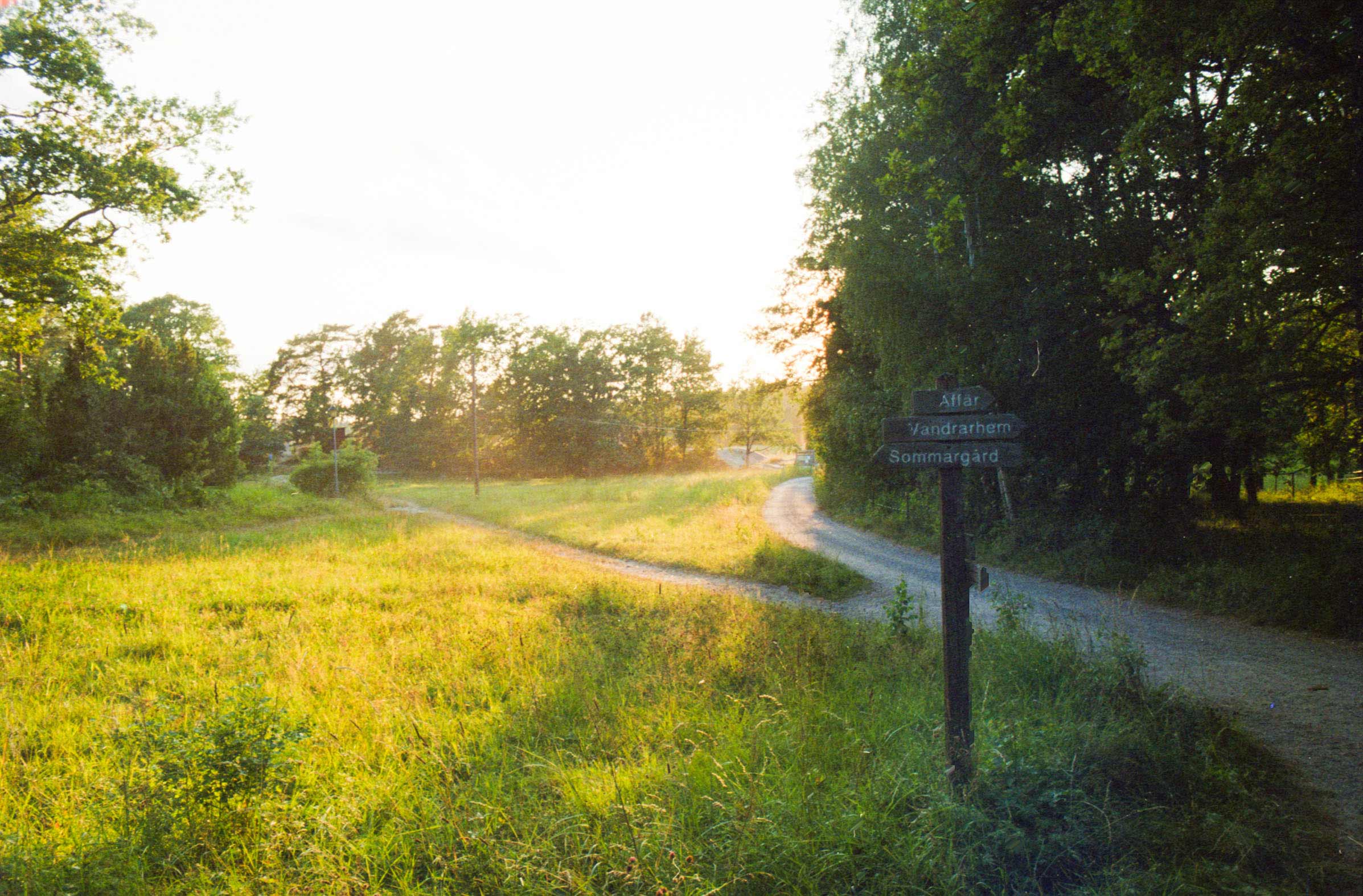 Liten väg genom grön äng i morgonljus med skylt mot vandrarhem och sommarboende.