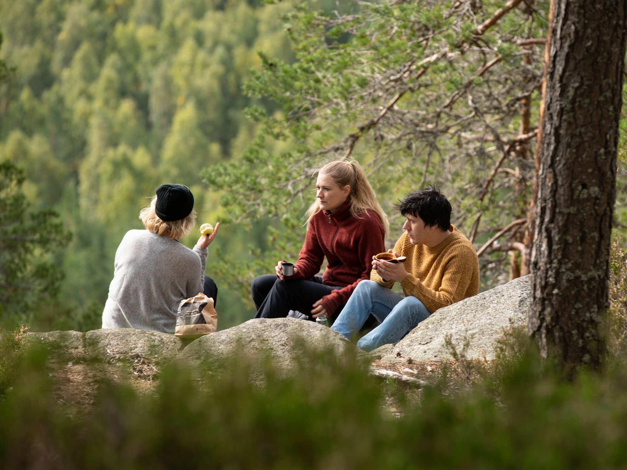 Tre personer sitter på klippor i skogen och fikar tillsammans.