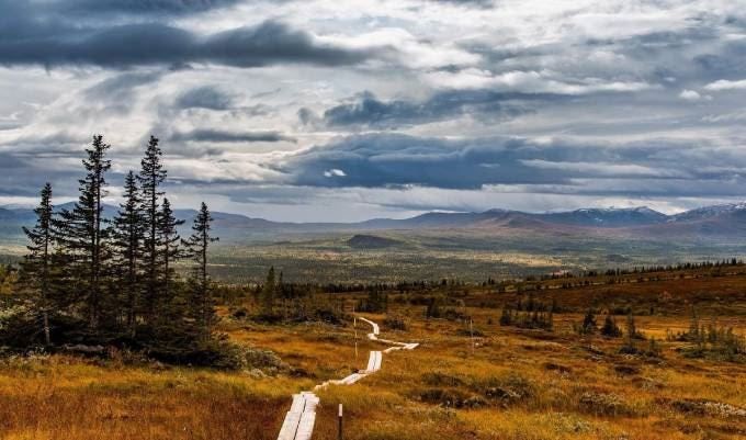 spangad-vandringsled-over-fjallheden