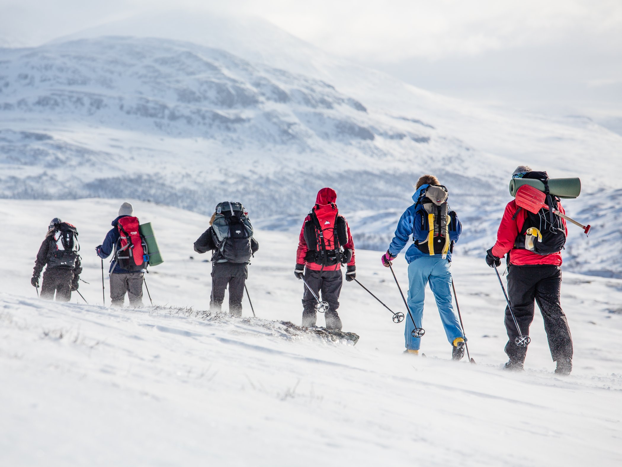 En grupp turskidåkare på rad på fjället.
