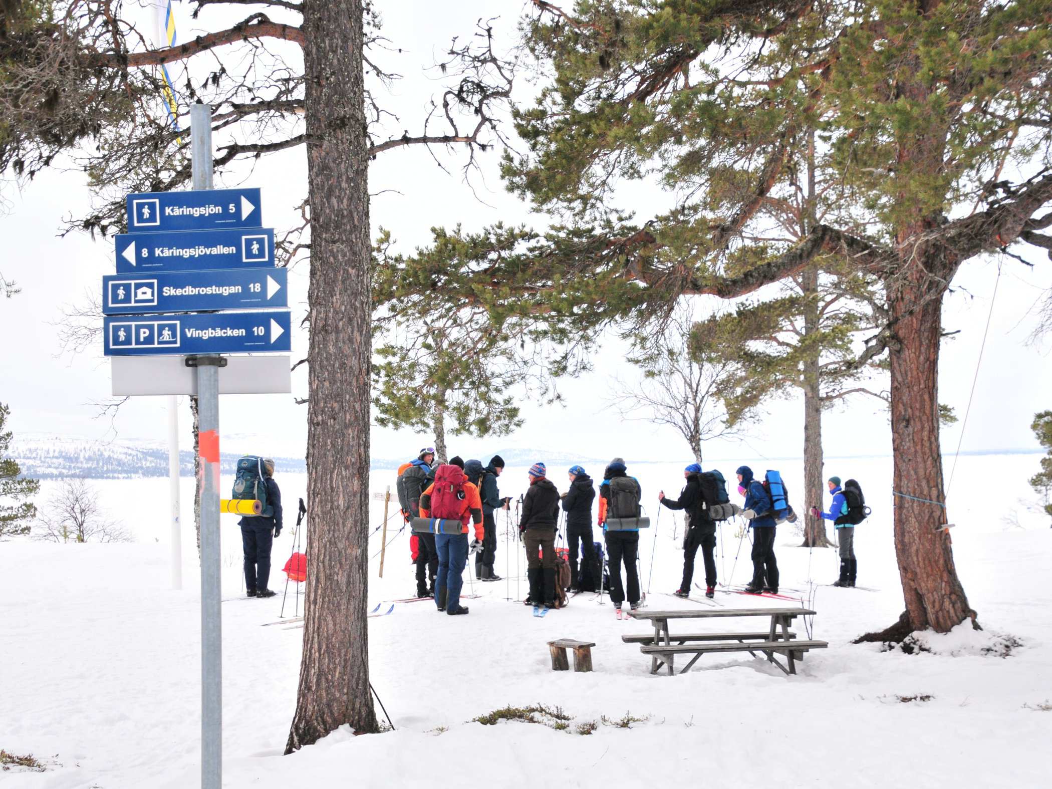 En grupp turskidåkare gör sig redo för tur.
