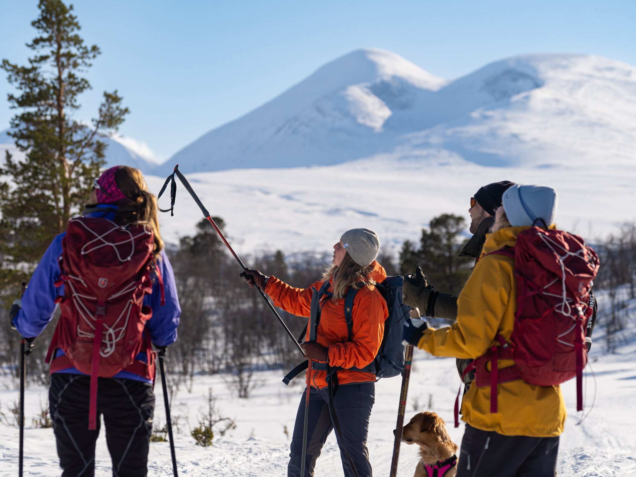 Guide visar omgivningarna för deltagare under en turskidtur i Abisko.