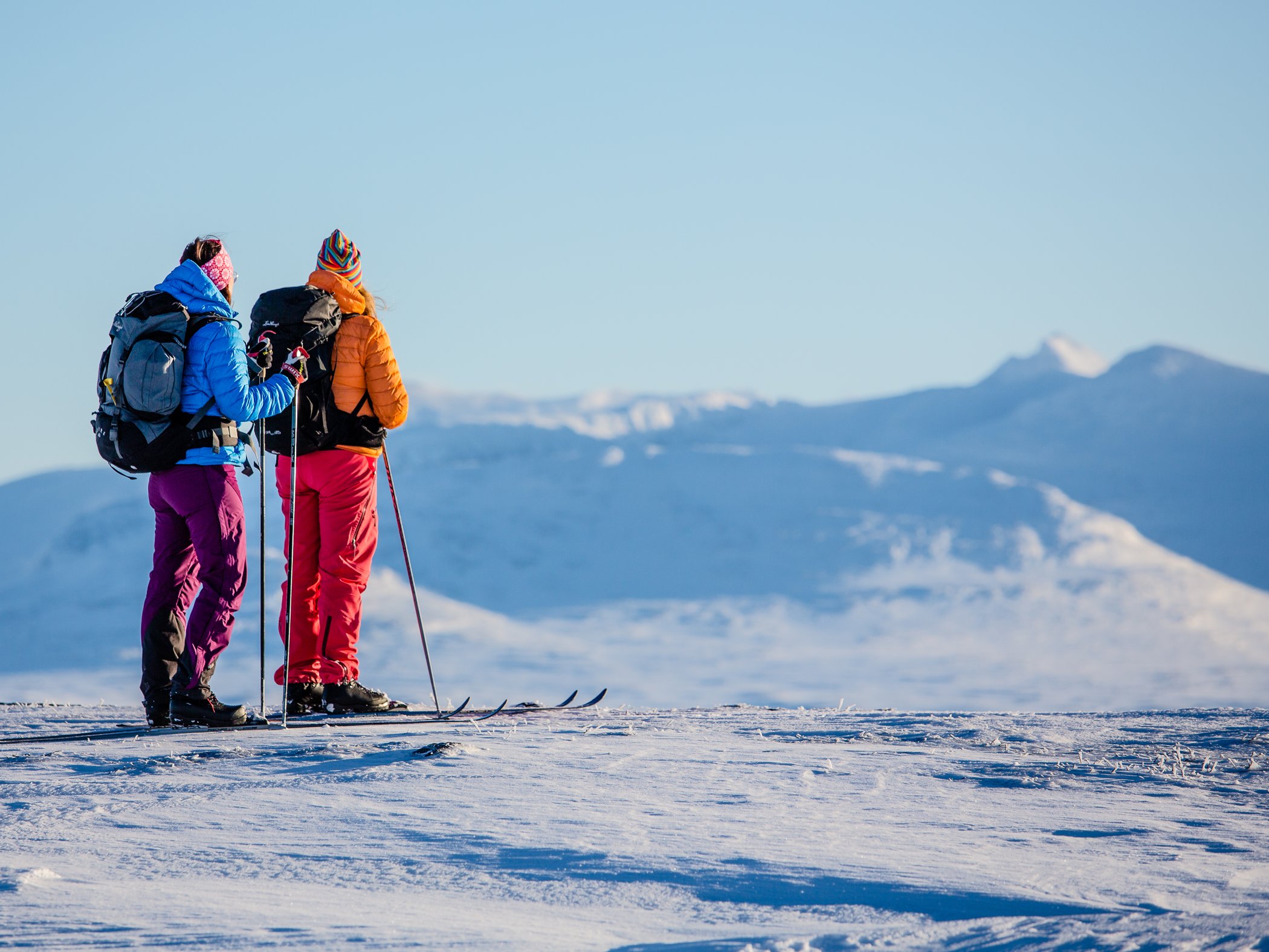 Två turskidåkare som blickar ut över fjället.