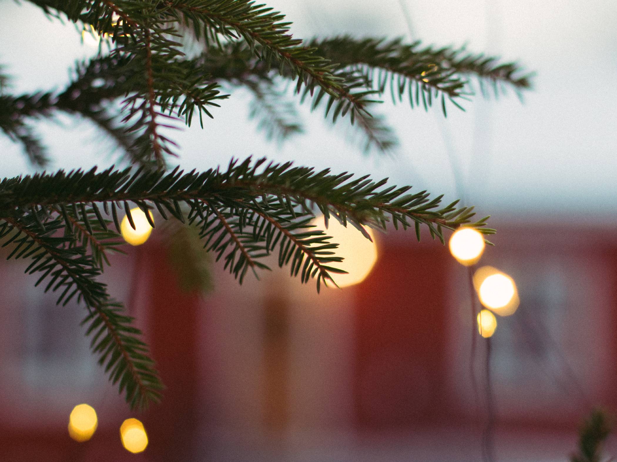 Närbild på julgran, Undersviks Gårdshotell
